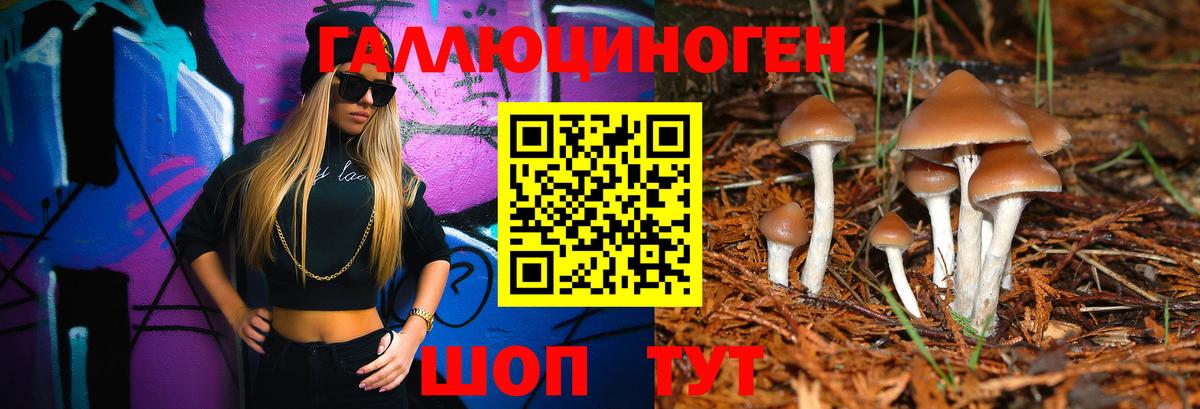 Серпухов  Галлюциногенные грибы Psilocybine cubensis  Галлюциногенные грибы GOLDEN TEACHER  Вход с VPN 